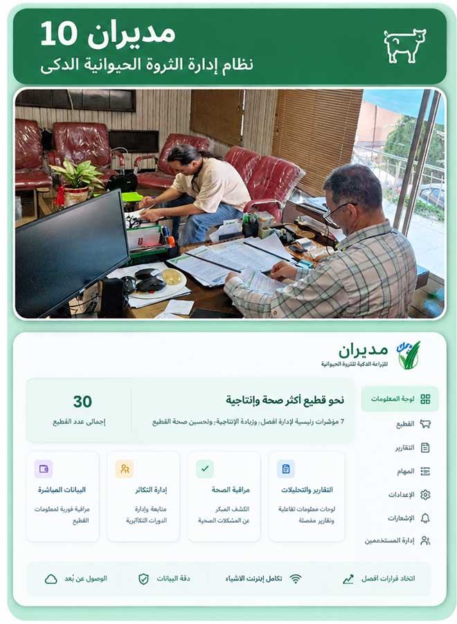 motahed mehr ar